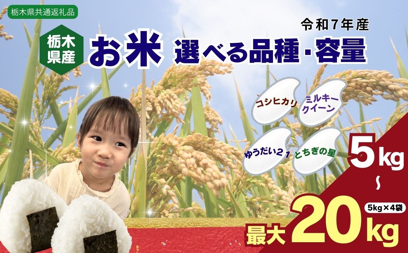 
            選べる 品種 令和7年産 米 お米 こめ コメ こしひかり コシヒカリ ミルキークイーン ゆうだい21 とちぎの星 5kg 10kg 20kg | 精米 白米 特A 人気 お買い得 ミルキークイン 送料無料 限定 訳あり 備蓄米 栃木県共通返礼品 2025年産 栃木県産 栃木県 下野市
          