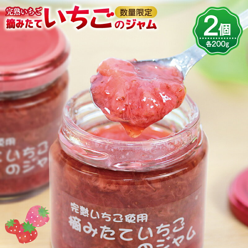 【ふるさと納税】【先行予約】 期間限定 数量限定 いちごのジャム 200g × 2個 特別規格 55キャンペーン 瓶 甘味料・保存料・香料・着色料無添加 厳選素材 完熟 朝摘みいちご 国産 苺 ジャム いちごジャム ストロベリージャム フルーツジャム お取り寄せ 泉佐野市 辻農園