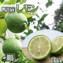 【ふるさと納税】【先行予約・数量限定】刈込園芸 鴨川産レモン『リスボン』3kg　[0010-0277]