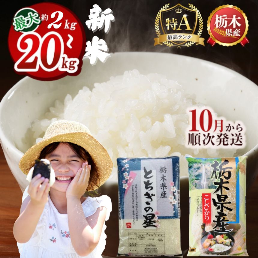【ふるさと納税】米 下野市産コシヒカリ とちぎの星 2kg～20kg【選べる品種・数量】【2025年10月より順次発送】 | 米 こめ コメ kome 白米 精米 お米 こしひかり コシヒカリ 新米 栃木米 令和7年米 2025年米 ブランド米 栃木県 特産品 送料無料 栃木県 下野市 しもつけ市