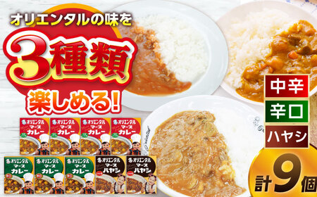  【ご当地カレー】マースカレー・ハヤシレトルトセット3種9個 BMAM004