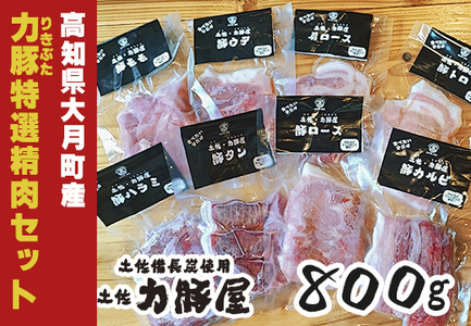 国産 豚肉 力豚 特選精肉セット 8種×100g 合計800g ブランド豚 冷凍 高知県産