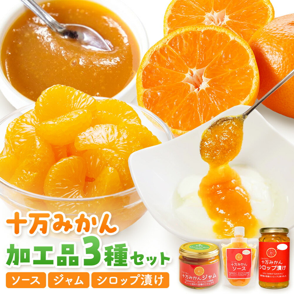 【ふるさと納税】十万みかん 加工品3種セット ソース ジャム シロップ漬け 各1個 田野農園《30日以内に出荷予定(土日祝除く)》鹿児島県 さつま町 みかん 蜜柑 柑橘 果物 くだもの フルーツ ジューシー シロップ 送料無料