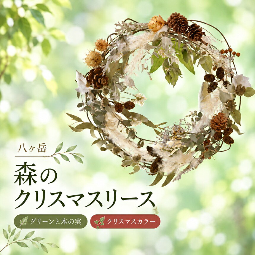 【ふるさと納税】 八ヶ岳　森のクリスマスリース（予約制） 【選べるタイプ】 | ドライフラワー リース クリスマス 自然 素材 花 インテリア 信州 八ヶ岳 長野県 諏訪郡 原村