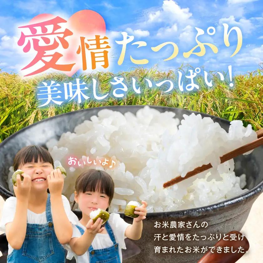 都城産米と国産米ブレンド 5kg≪みやこんじょ特急便≫〔LG5-33-001-5kg-Q〕_(都城市) お米 国産ブレンド米 5kg 精米
