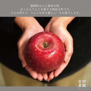 【産地直送】サンふじ　家庭用　5kg(12～20個)【配送不可地域：離島・沖縄県】【1667200】