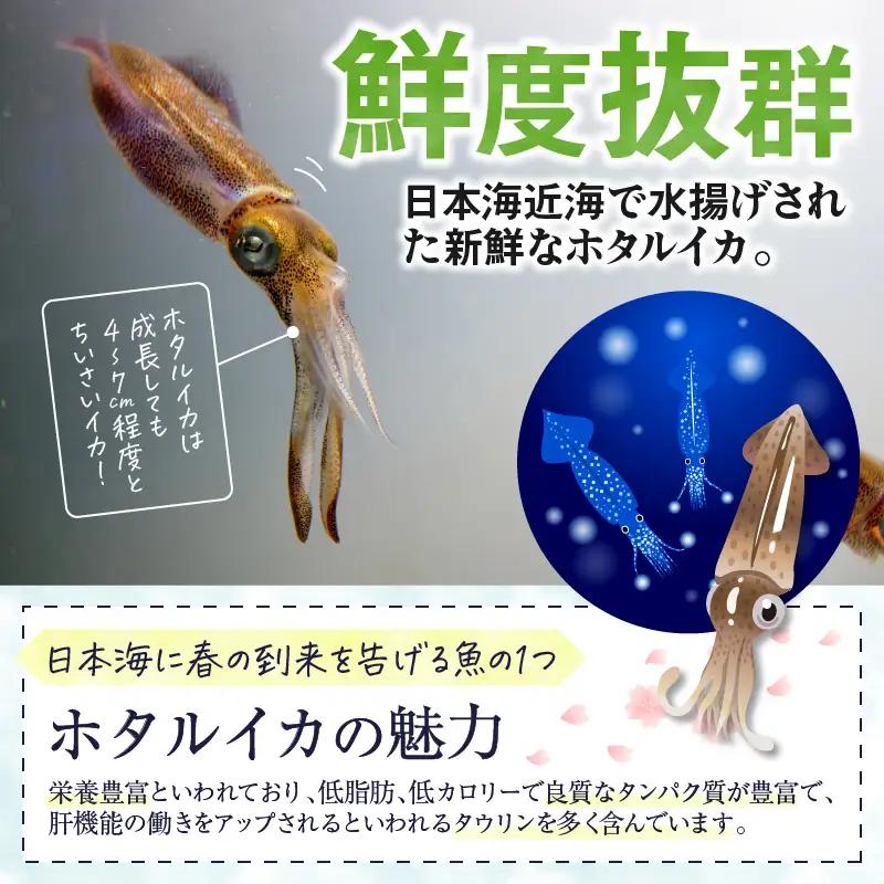 ホタルイカの沖漬け 6パック計約1kg｜イカ漬け
