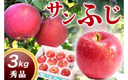 【2026年 年明け発送】岩手県紫波町産 秀品 りんご サンふじ 3kg 贈答用 (DV053)