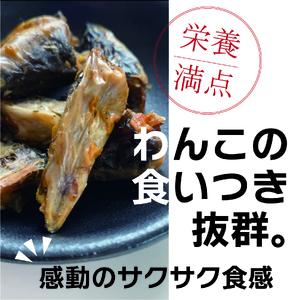 1029 うなぎ屋が作ったわんこ専用おやつ　うなぎサクサクくん極（袋入り）３袋セット