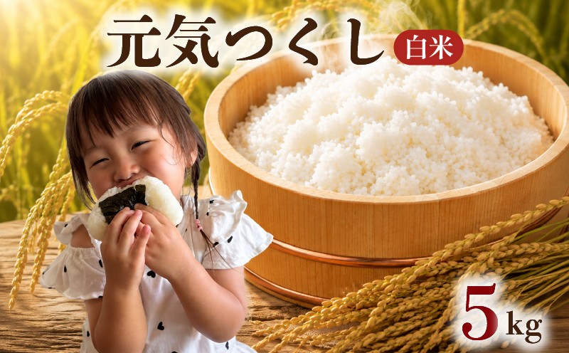 
                  【 令和8年度産 先行受付 】 元気つくし 5kg ブランド米 米 白米 国産 食味 白飯 ご飯 もちもち 特A評価 ひのひかり こめ お米 okome kome おむすび おにぎり弁当 美味しい 朝食 取り寄せ 魚 肉 の おかず にあう 福岡県 柳川市 宝物産
                
