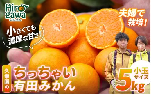 ちっちゃい 有田 みかん 5kg 久幸園 / 温州みかん 有田みかん 甘い 小玉 和歌山 柑橘 ※11月下旬〜1月下旬に順次発送予定【hsk004-s-5A】