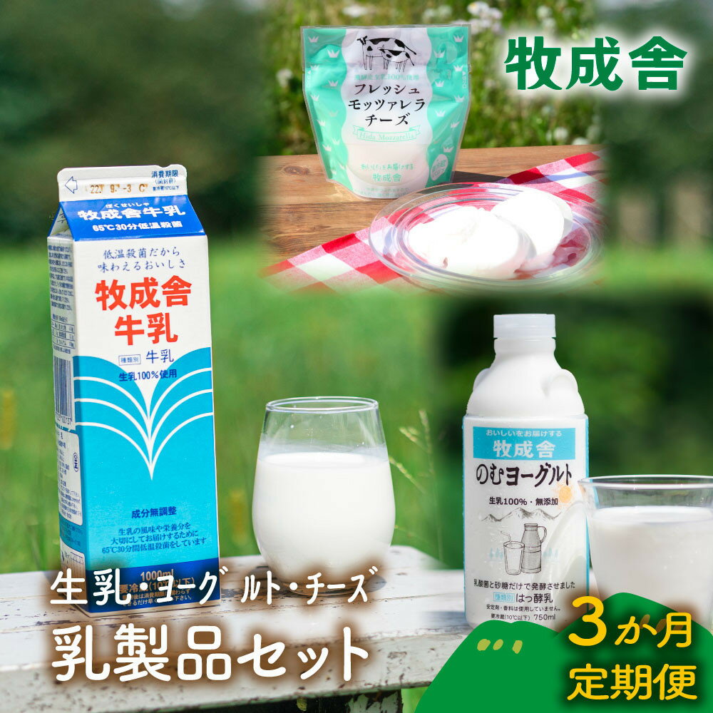 【ふるさと納税】【定期3か月便】牧成舎の牛乳・のむヨーグルト・モッツァレラセット（全3品）DF252