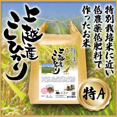ふるさと納税 上越市 上越産　こしひかり 5kg(精米)