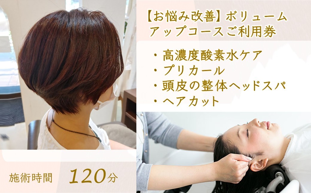 
            【お悩み改善】ボリュームアップコース ご利用券 ヘアカット 根元パーマ 頭皮の整体ヘッドスパ 高濃度酸素水 所要時間 120分
          