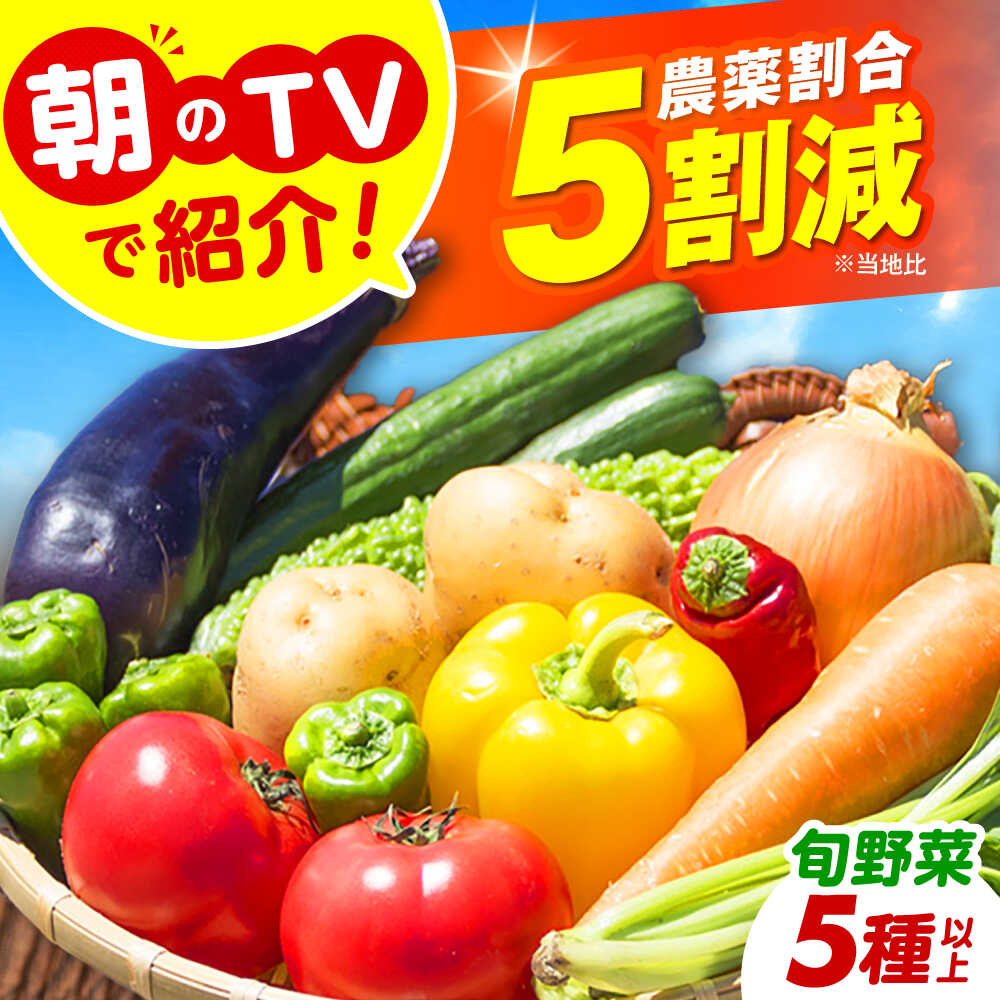 【ふるさと納税】朝のTV番組で紹介された！旬のお野菜セット 詰合せ 詰め合わせ 新鮮 産地直送 おまかせ やさい 野菜セット 大阪府高槻市/ベジ彩ファーム[AOEJ004]