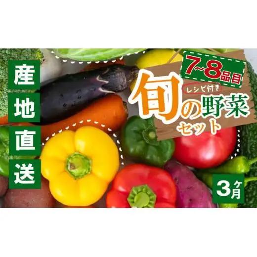 野菜定期便 7品~8品 3ヵ月 産地直送 朝採れ （ 7品 ～ 8品 野菜 セット 詰め合わせ 特産 季節 旬 新鮮 彩 ベジタブル 高知県 須崎市  ）NPO20000