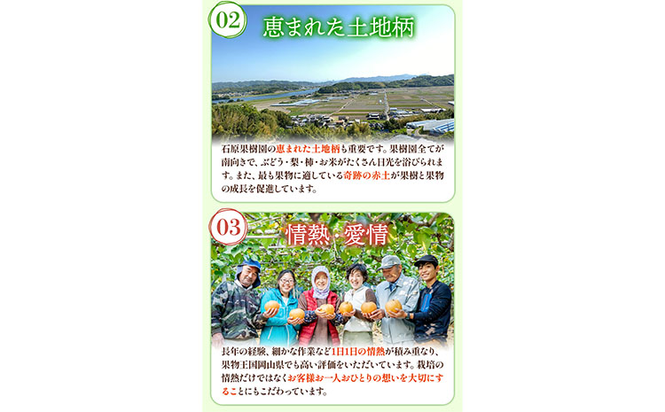 【2026年先行予約】梨 なし ナシ あたご梨 約500g×3玉 化粧箱 赤秀化粧箱 石原果樹園 《2026年11月中旬-12月下旬頃より発送予定》岡山県 浅口市 フルーツ 果物 ギフト 贈り物 国産