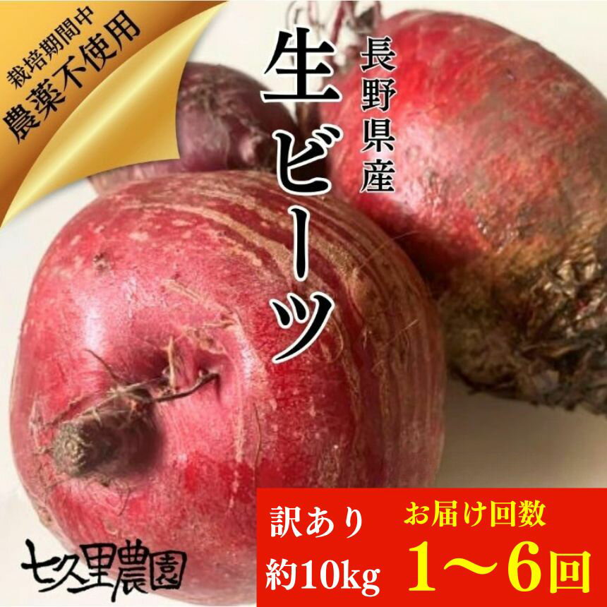 【ふるさと納税】訳あり ビーツ 約10kg 【 お試し 1回 or 6回 定期便 】| 野菜 ビーツ レッドパワー レッドパワービーツ 定期 長野県 信州 南信州 飯田市