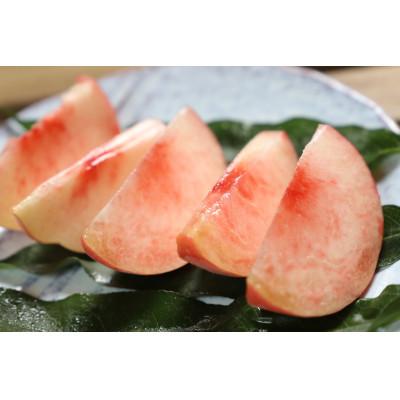 ふるさと納税 南アルプス市 【発送月固定定期便】フルーツギフト専門店が選ぶ南アルプスの厳選フルーツ定期便　全3品種S全3回 |  | 02