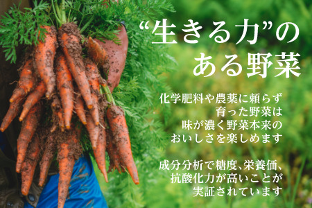 野菜 オーガニック 野菜 5種 おためしセット 有機JAS認証 有機野菜 野菜セット1回便 しあわせ野菜畑 6336