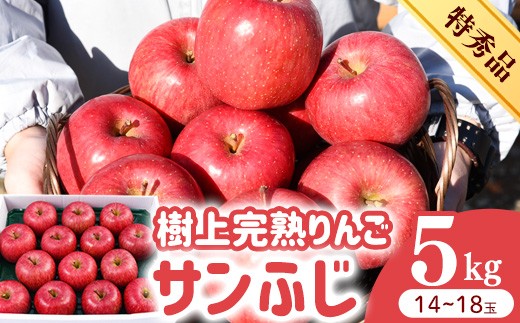 
                  令和8年産 樹上完熟りんご サンふじ 特秀品 5kg（14 - 18玉） 2026年産 山形県産【2026年12月上旬頃から下旬頃発送予定】　032-B-HK010
                