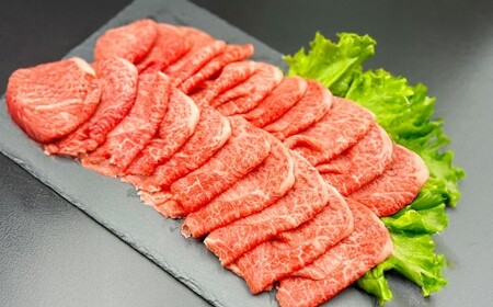 【赤身づくし！】 おおいた和牛 赤身焼肉 ・ 赤身スライス ・ 赤身ステーキ 各約400g 計約1.2kg