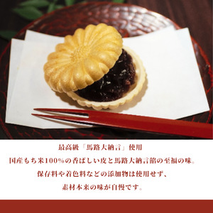 季節のお菓子【定期便】年3回お届け《丹波大納言本舗 朝日堂》保存料不使用 お取り寄せ ギフト対応 個包装 和菓子 スイーツ 最中 くり 餡 人気 詰め合わせ ※離島への配送不可