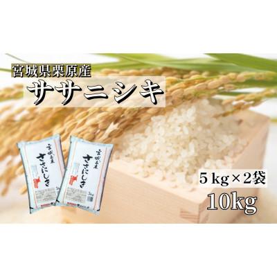 ふるさと納税 栗原市 【令和7年産】宮城栗原産 ササニシキ 白米10kg (5kg×2袋)