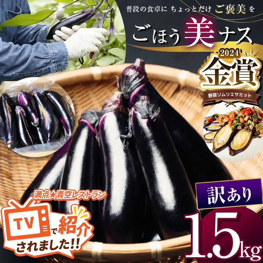 農家さん応援！訳ありごほう美ナス 約1.5kg