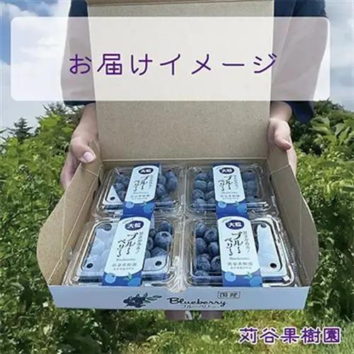 【期間限定 】【3L以上】大粒ブルーベリー約500g《125g×4パック入》 岩手県軽米町_ブルーベリーブルーベリーブルーベリーブルーベリーブルーベリー_【配送不可地域：離島・沖縄県】【1518038