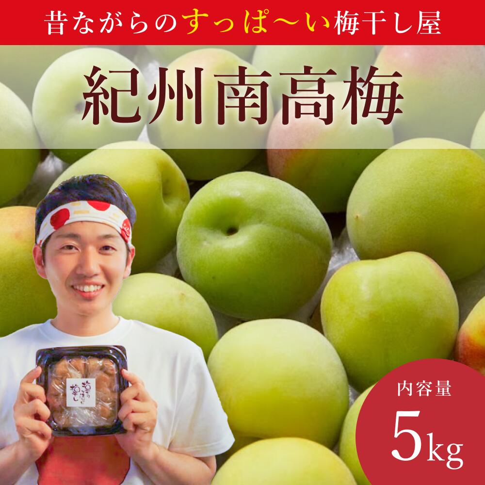 【ふるさと納税】【先行予約】紀州南高梅（青梅）5kg