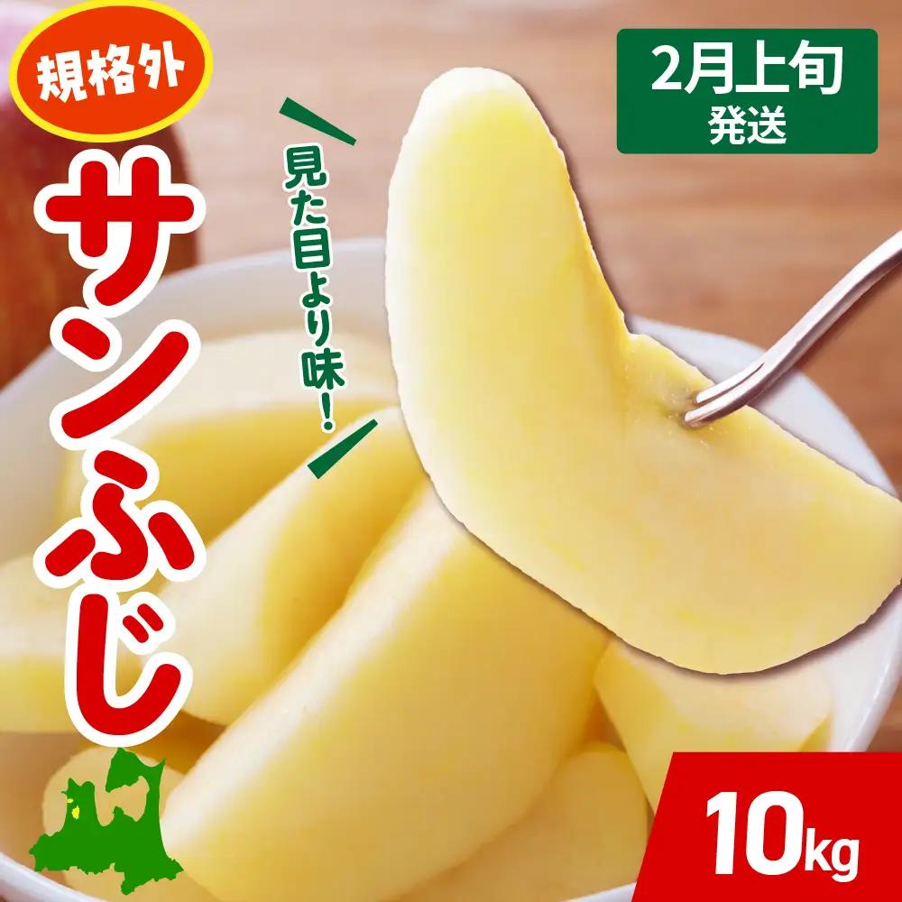 【2027年2月上旬発送】 りんご 約 10kg サンふじ 【規格外】 青森県産 りんご
