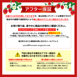 竜王町産 いちご きらめきの雫 約165g以上 × 4パック 食べ比べ セット