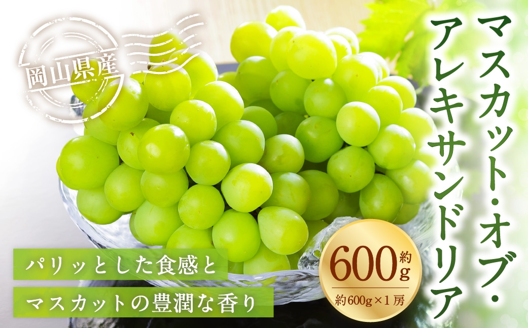 
                  岡山県産 マスカット･オブ･アレキサンドリア 約600g （ 約600g×1房 ） ぶどう ブドウ 葡萄 くだもの 果物 果実 フルーツ 国産 マスカット 【 2026年6月下旬～7月下旬発送予定 】
                