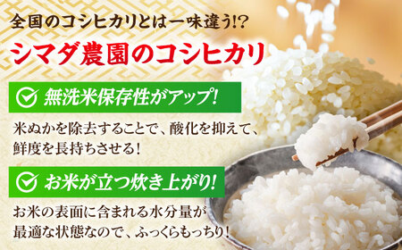 【令和7年産】無洗米 福井県産こしひかり 300g(約2合) × 10パック 計3kg  小浜市 / シマダ農園 [BFAV003] 