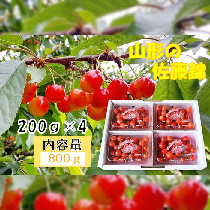 山形産 さくらんぼ 佐藤錦 秀 L～2Lサイズ 800g(200g×4パック)  FY25-837