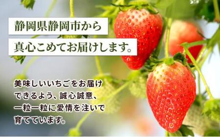 いちご ほっぺたが落ちる 紅ほっぺ 2箱 8パック 果物 イチゴ 苺 国産 ギフト 贈答品 お祝い プレゼント フルーツ くだもの