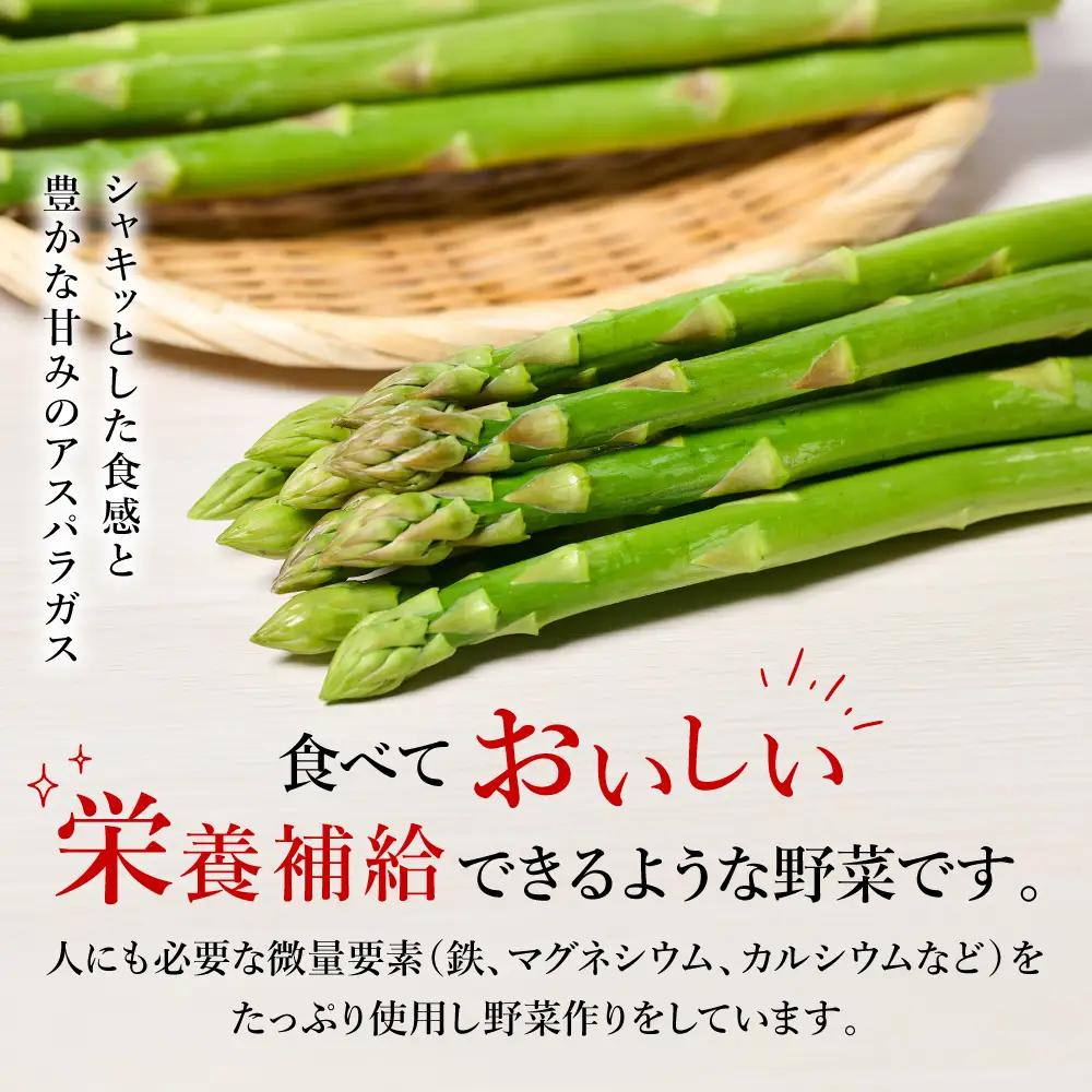 熊本県 八代市産 アスパラガス 500g 新鮮 アスパラ 野菜 やさい 旬