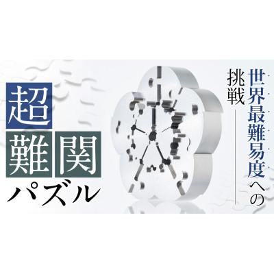ふるさと納税 大月市 梅ZIREL