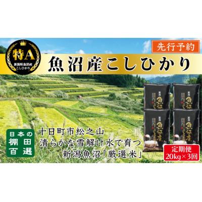 ふるさと納税 十日町市 【発送月固定定期便】先行予約10月より発送【食味鑑定士厳選】棚田百選・魚沼こしひかり 20k全3回