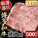 【ふるさと納税】博多和牛焼肉用(500g) 牛肉 黒毛和牛 国産 BBQ 化粧箱 贈答 ギフト プレゼント ＜離島配送不可＞【ksg0287】【MEATPLUS】