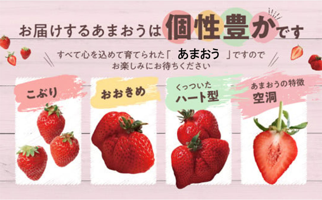 AB379.人気ナンバー1獲得★限定品★あまおう約810g（２０２６年１月以降配送）