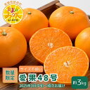 【ふるさと納税】【新品種登場！】＜産地直送＞【数量限定】みかん「愛果48号」　サイズ不揃い3キロ　家庭用 2025年3月中旬頃～順次発送【訳あり ふぞろい 甘い みかん 愛媛】　お届け：2025年3月中旬～4月下旬