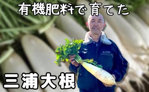 【三浦の特産品！】三浦大根 ※ご入金締切 2026年12月31日まで　M002-002