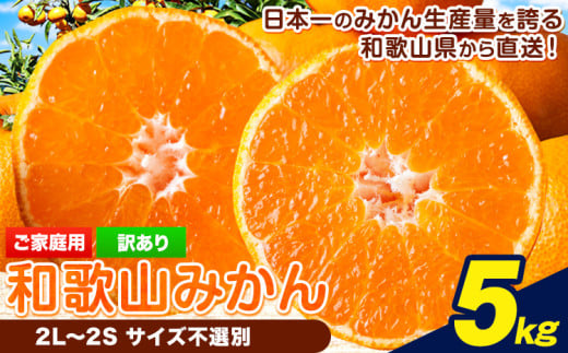 和歌山みかん 約5kg 和歌山県産  《2026年11月中旬-2027年1月中旬頃出荷(土日祝除く)》たっぷり ご家庭用 2L～2S 産地直送 みかん 旬 蜜柑 ミカン 柑橘 果物 フルーツ 和歌山県 岩出市 【訳あり/サイズ不選別】