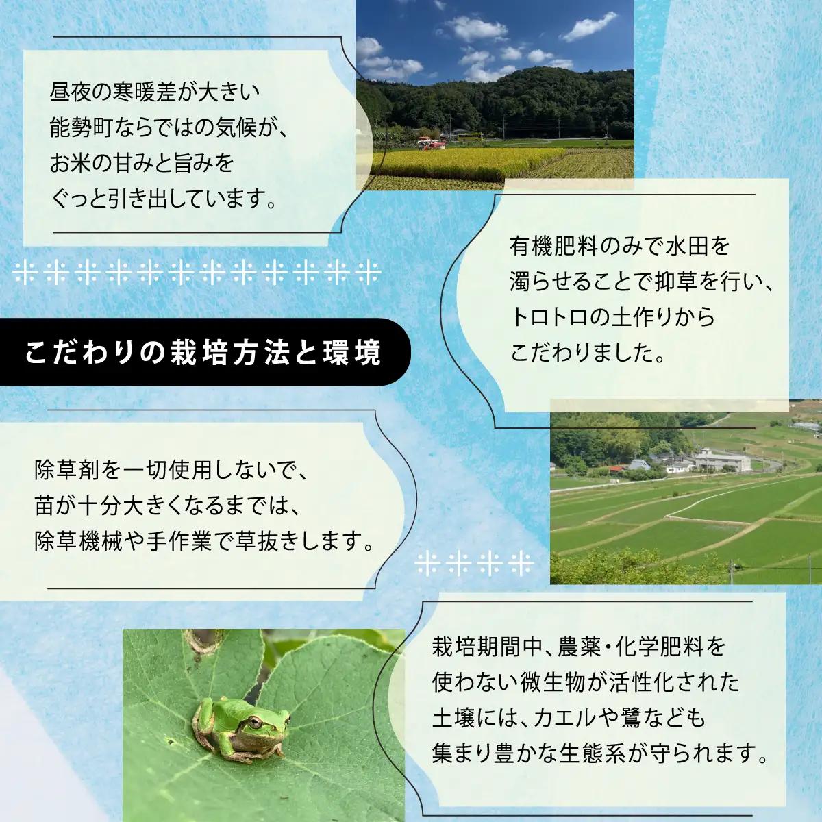 《予約受付中》令和8年産きぬひかり「きねのしずく」玄米 10kg 栽培期間中農薬・化学肥料不使用 | 農園のら | 米 玄米 10kg キヌヒカリ 中農薬 化学肥料不使用 自然栽培 特別栽培 | おに