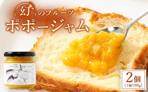 【幻のフルーツポポーを贅沢に使いジャムにしました】 ポポージャム 2個セット