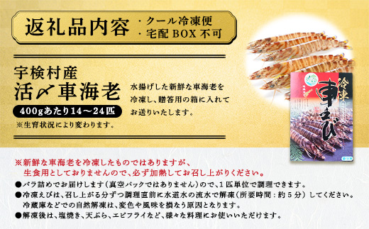 冷凍車海老 400g 贈答箱入り 活〆車えび エビ 魚介 海鮮 奄美大島 宇検村 鹿児島