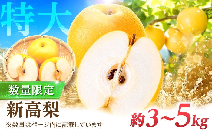 
                  梨 先行予約【選べる内容量】【2026年9月～発送】【梨の王様】 こだわり 新高梨 約3kg 約5kg / 梨 ナシ フルーツ 果物 旬 先行予約 産地直送 家庭用 国産 なし 新高 和梨 お取り寄せ 梨 ナシ 果物 フルーツ 国産 九州 / 南島原市 / 株式会社マルハチ [SFG001]
                