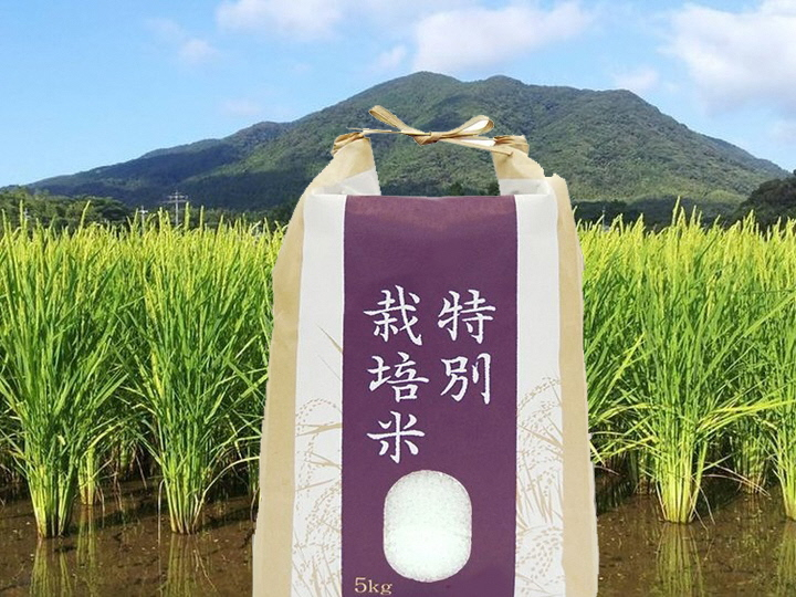 
            新米先行予約！令和7年産【定期便/年10回】農薬不使用の白米「4種の特別栽培米」 5kg×10回定期便【田野のおいしいお米】_HB0119
          